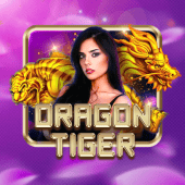 Dragon Tiger cockfighting download apk icon